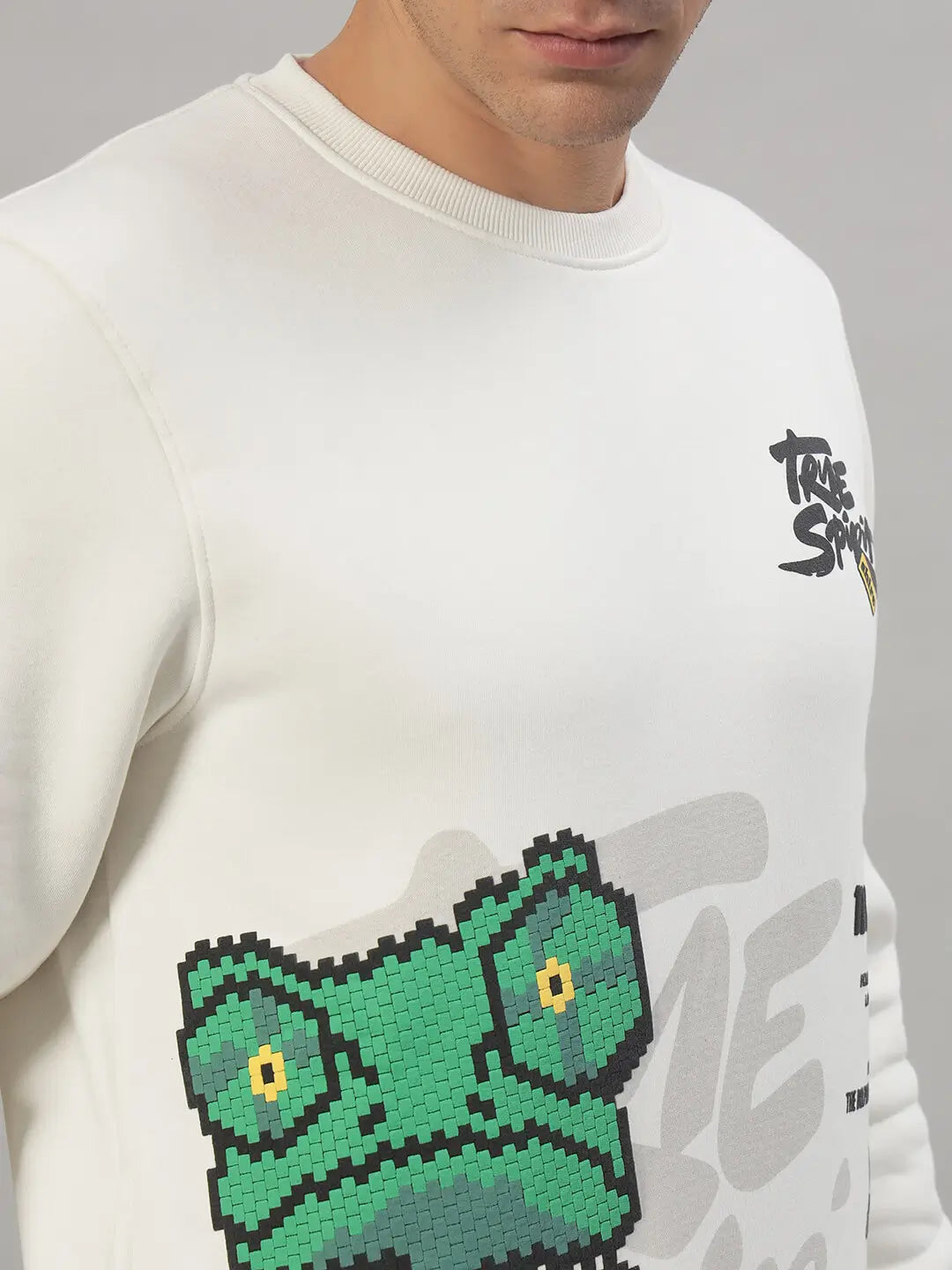 Printed Round Neck Sweatshirt [T-3843]